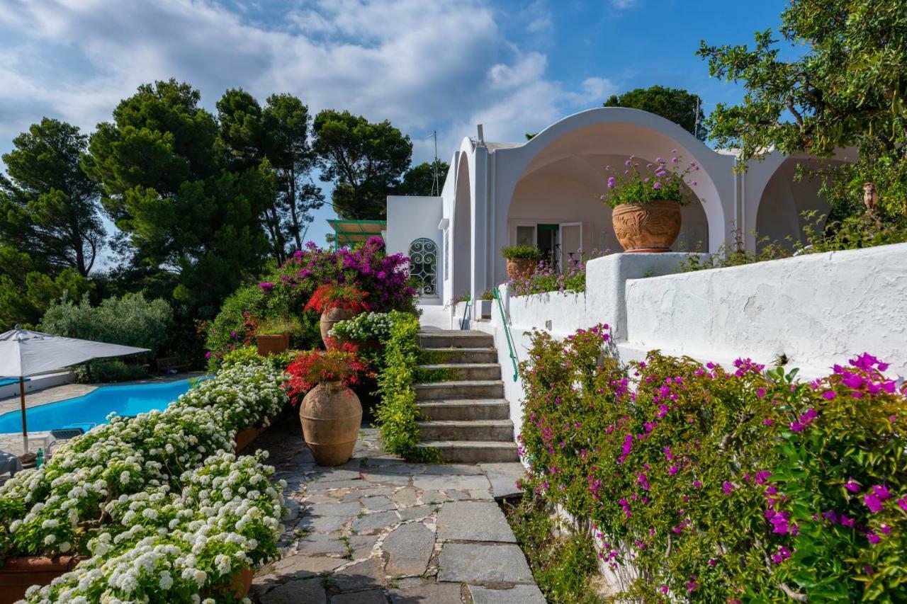 Il Carrubo Capri Guest House Anacapri  Exterior photo