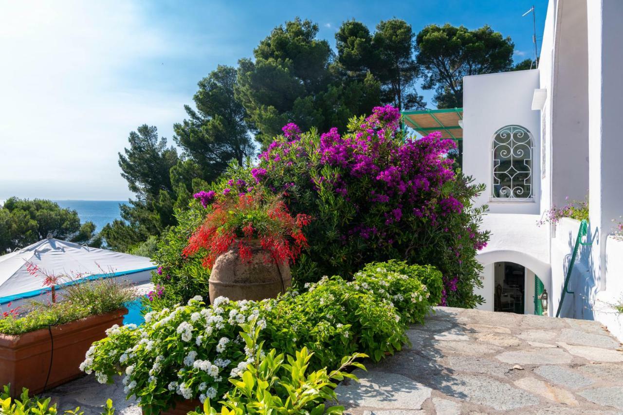 Il Carrubo Capri Guest House Anacapri  Exterior photo